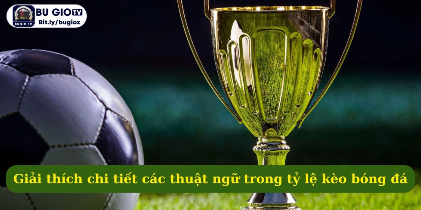 Giải thích chi tiết các thuật ngữ trong tỷ lệ kèo bóng đá