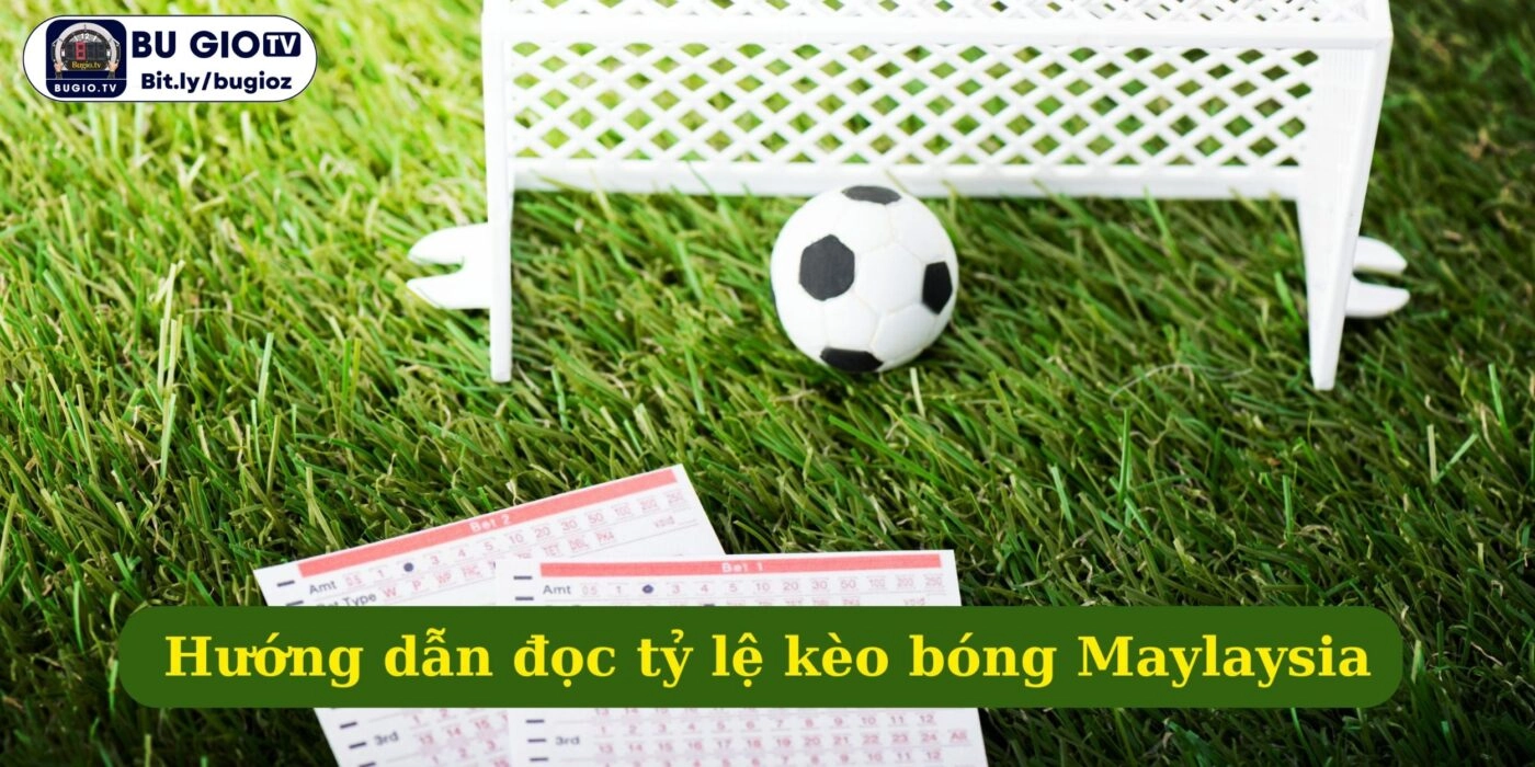 Hướng dẫn đọc tỷ lệ kèo bóng Maylaysia chi tiết